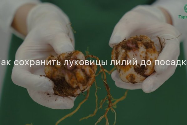 Кракен сайт продаж